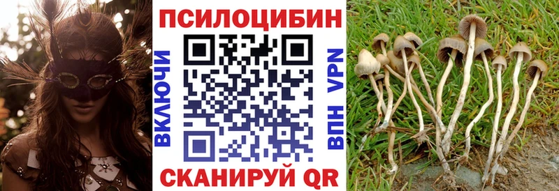 Псилоцибиновые грибы ЛСД Купить где Вихоревка